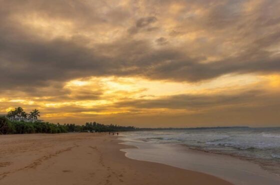 Happily Ever After Honeymoon Tour – 8 Days