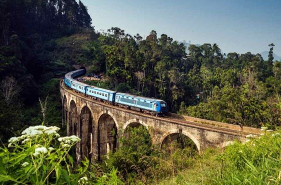 10-Day Sri Lanka Nature, Culture & Heritage Tour