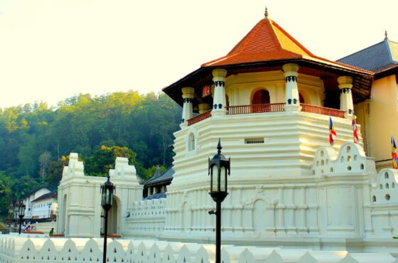 Why Visit Sri Lanka? 7 Reasons It’s Your Next Travel Destination