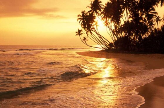 Amazing Sri Lanka – 9 Days Tour