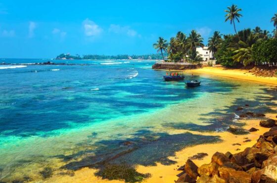 8 Days Sri Lanka Tour – Sri Lanka Discovery