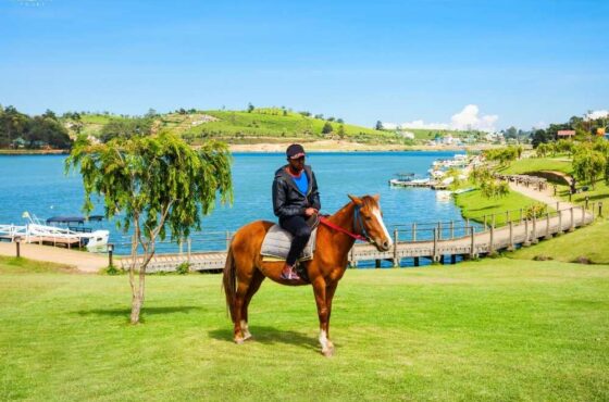 Nuwara Eliya Day Trip from Kandy