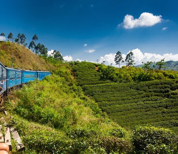 Èlla blue train at hill country