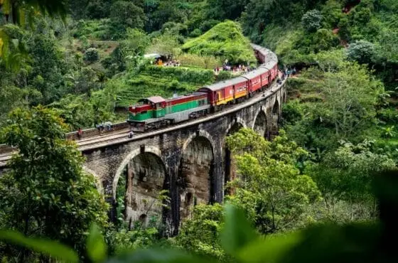 7 Days Sri Lanka Tour – Ceylon Circuit Experience