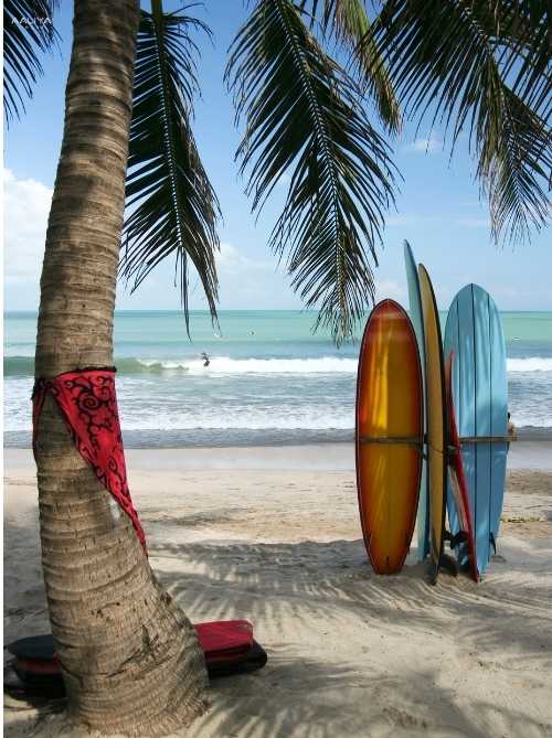 Aaliya-tours-surfing-Sri-lanka Aaliya-tours-surfing-Sri-lanka