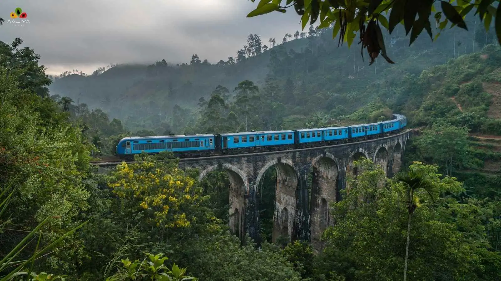 Tailor-made Sri Lanka tours with the Ella train experience