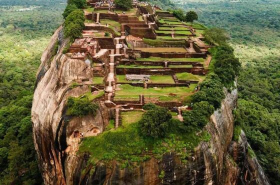 10-Day Sri Lanka Culture, Wildlife & Tea Country Private Tour